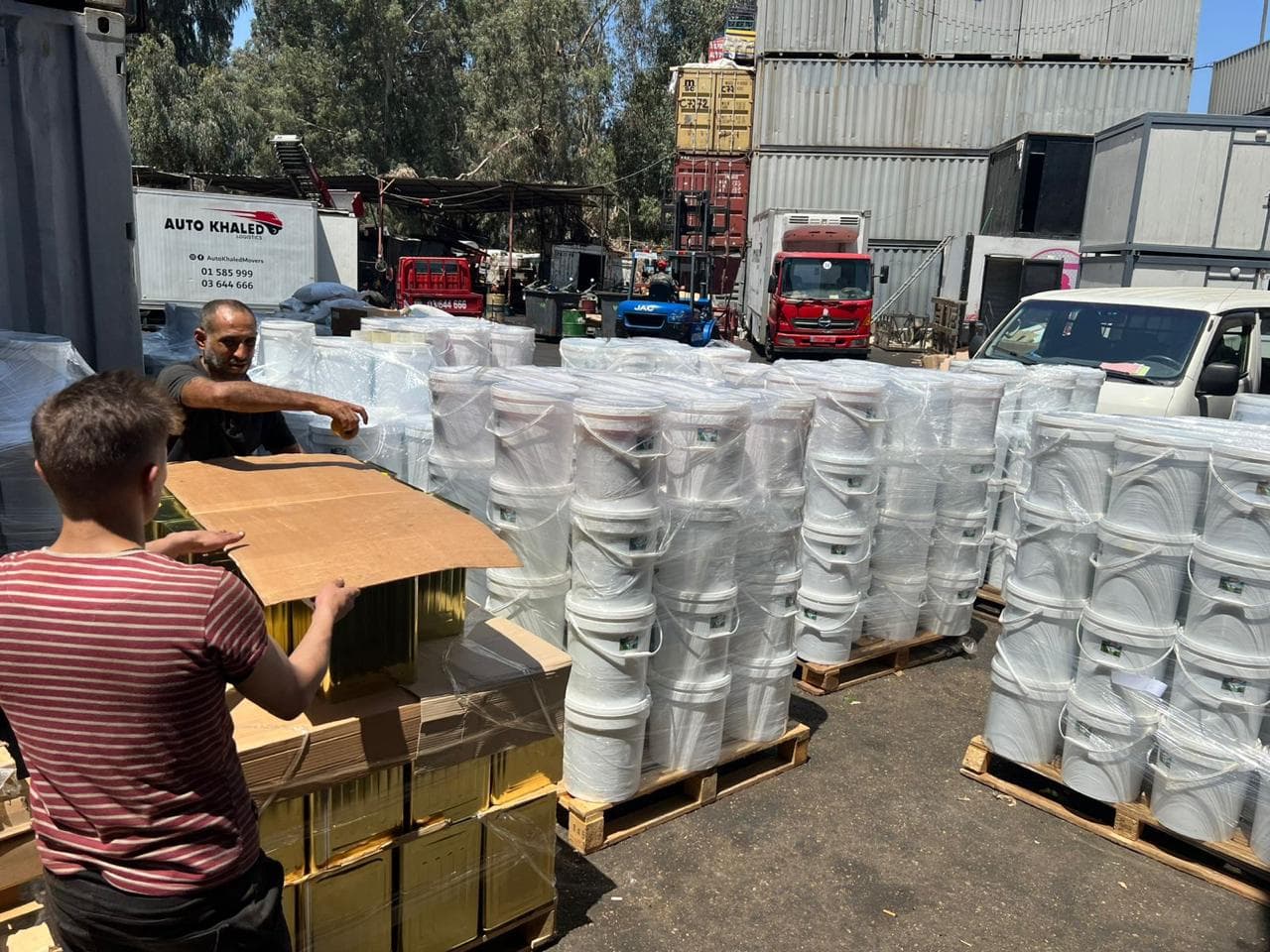 Bulk olive oil tins prepared for wholesale supply